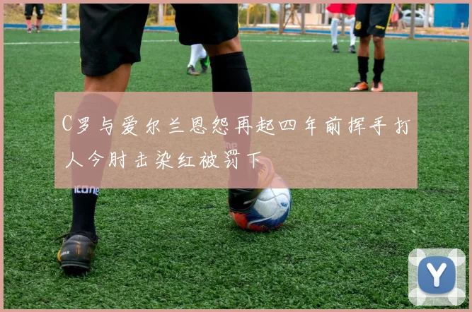 C罗与爱尔兰恩怨再起四年前挥手打人今肘击染红被罚下