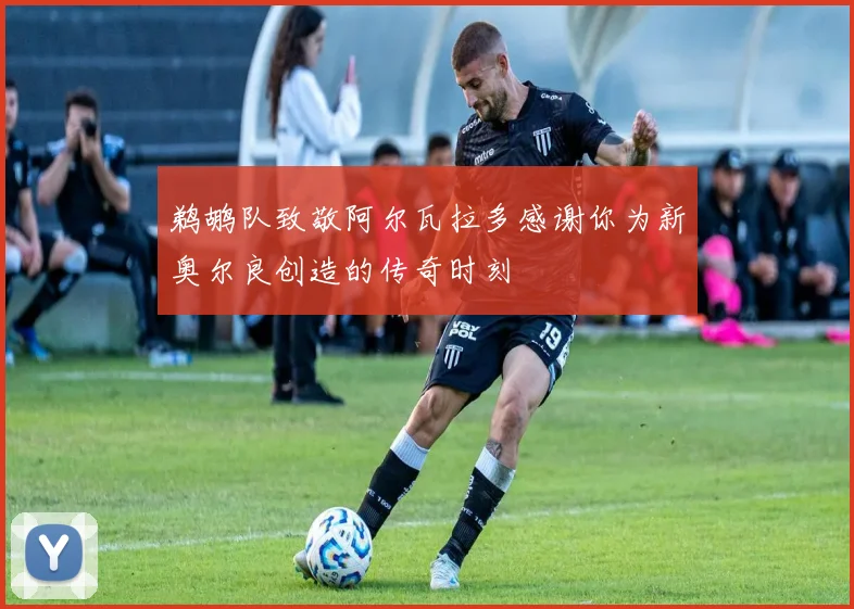 鹈鹕队致敬阿尔瓦拉多感谢你为新奥尔良创造的传奇时刻