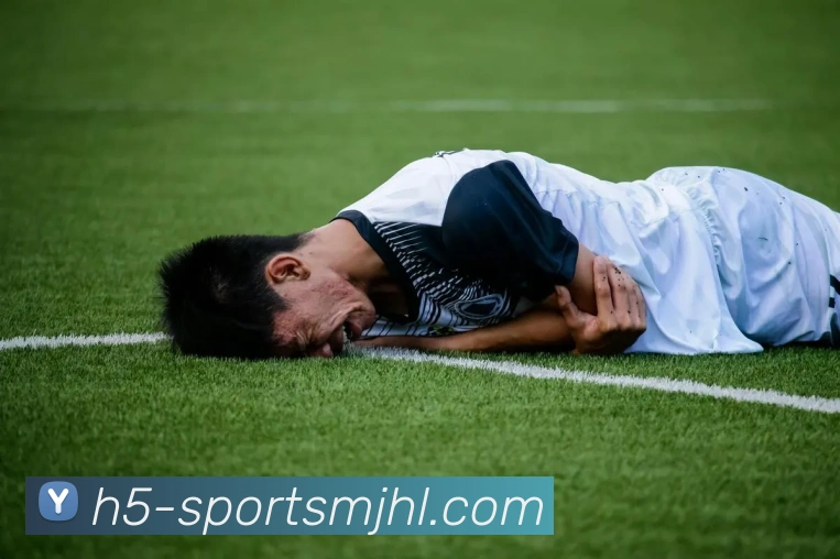 麻将胡了平台生态图