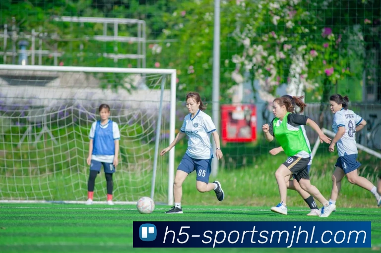 数据防护可视化